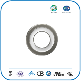 環(huán)形電容4號(hào)片.png